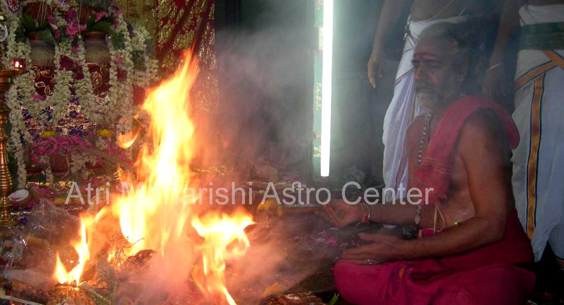 Dr.Selvamuthu kumaran samy - Nadi Astrologer